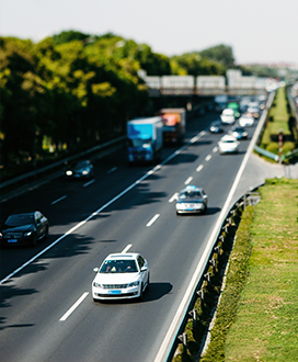 Picture by Nathan Dumlao